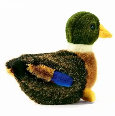 High Quality Duck
