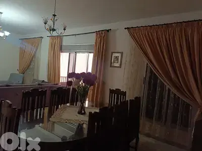 برادي