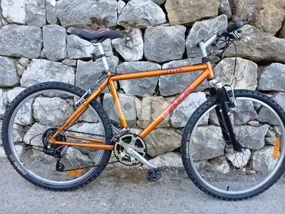 Trek bike