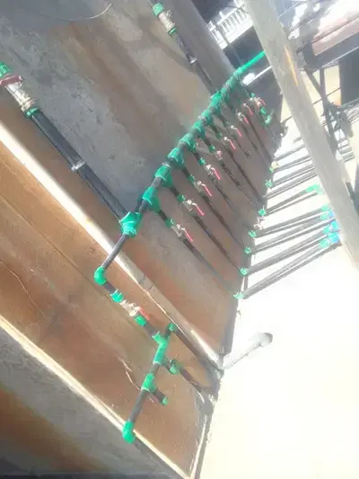 سنكري