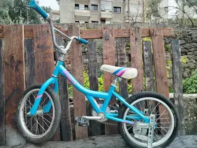 huffy 16