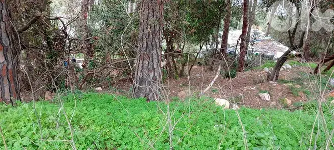 Beit El kekko land 1400 meters 400 dollars for square meter 03703564