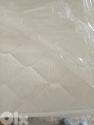 فرشتين FAP  مفرد