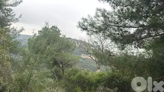 land for sale in monteverde أرض للبيع في منتيفردي
