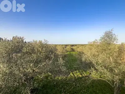 Nature Land in Hamat - أرض طبيعية هادئة