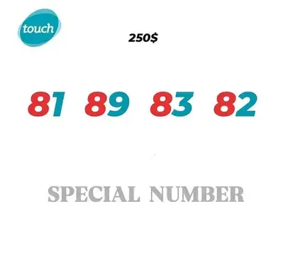 Touch prepaid number we deliver all leb