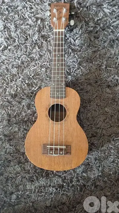 ukulele pro