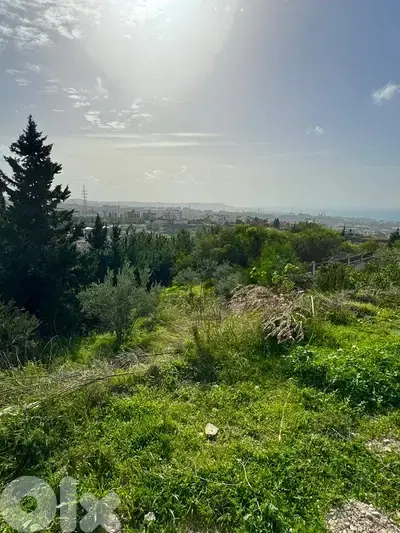 عقار مطل على البحر للبيع في الغازية -Land for Sale in Ghaziye Sea View
