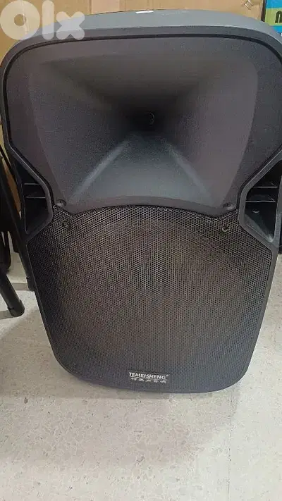 speaker 15" passive 300w