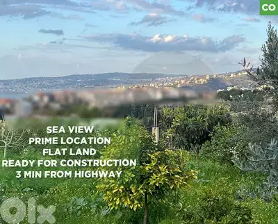 prime location , easily accessible in Safra/الصفراء REF#CO118196