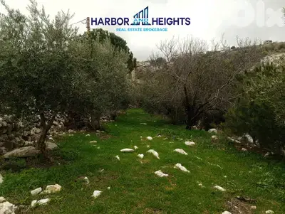 Land and Farm for Rent in Obeidat أرض ومزرعة للإيجار في العبيدات