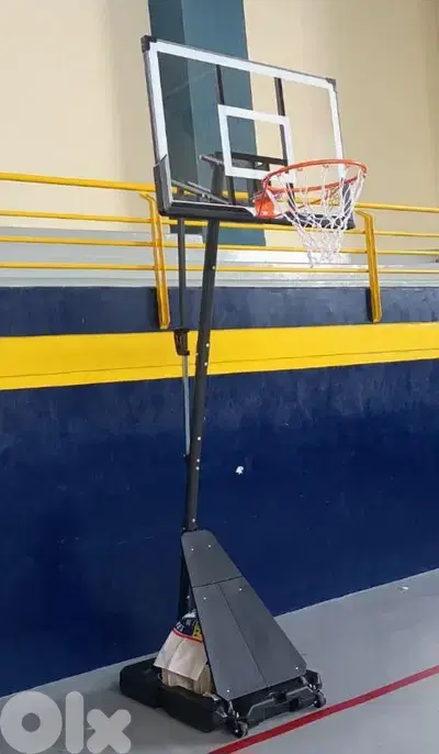 230$ movable basketball hoop