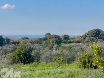 Hamat Sea View Land - أرض بإطلالة بحرية في حامات