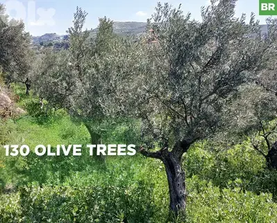 serene, picturesque setting, zakroun, koura/زكرون، كورة REF#BR133816