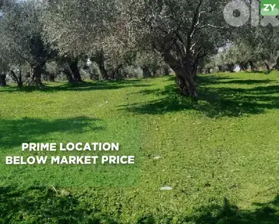 Land for sale , Zgharta - Rachiine/زغرتا - رشعين REF#ZY134139