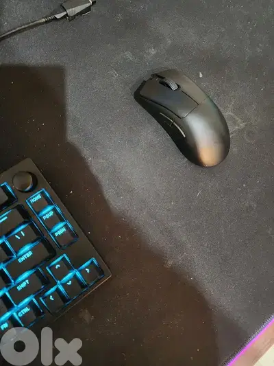 Razer Deathadder v3 PRO