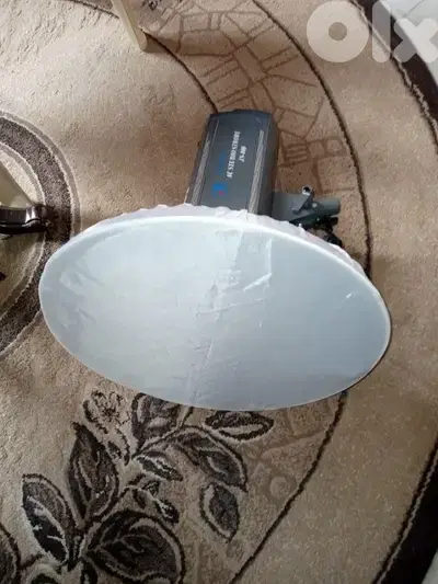 flash 800 watts electric with beauty dish