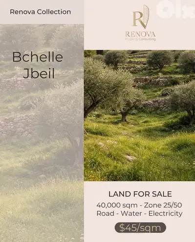 Land for sale in Bchelle Jbeil