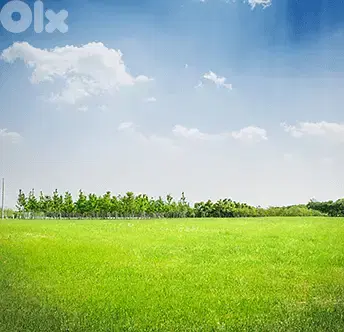 Land for Sale in Bakish
