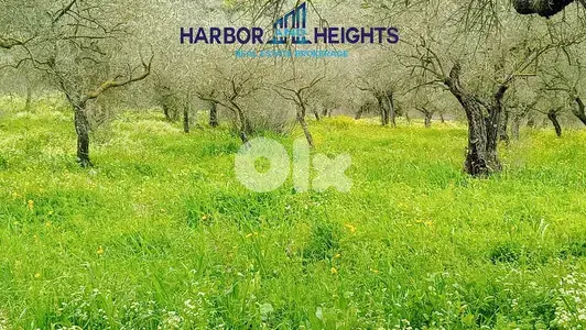 Land for Sale in Ain Kfaa - أرض للبيع في عين كفاع