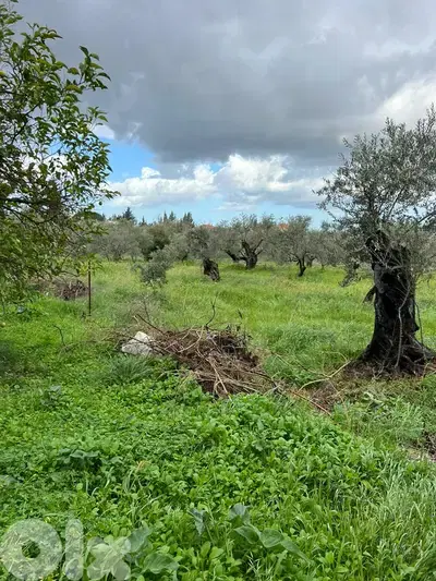 Building with land for sale in Bsebaal مبنى مع أرض للبيع في بسبعل
