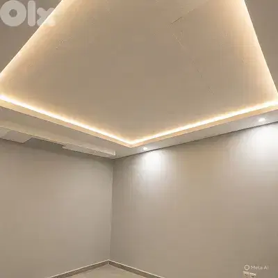 معلم دهان وديكورات وعزل نش