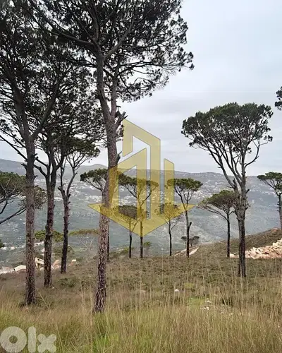 Land for sale in Deir El Harf أرض للبيع في دير، الحرف