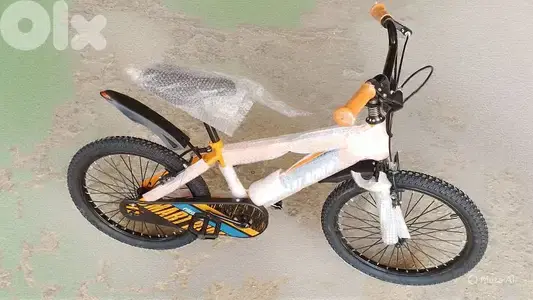 20 inch bicycle