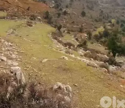 lands for sale in Lassa-Jbeilأرض للبيع في لاسا-جبيل