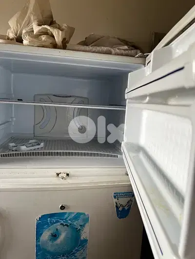 براد وفريزر
