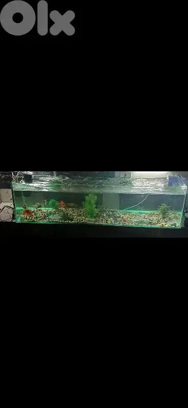 AQUARIUM