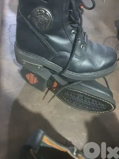 harley davidson and Tommy Hilfiger