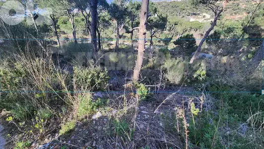 Unique Land for Sale Bekfaya | 6100 Sq. m