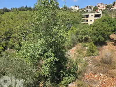 Prime Land for Sale in Borjein  -    أرض مميزة للبيع في منطقة البرجين