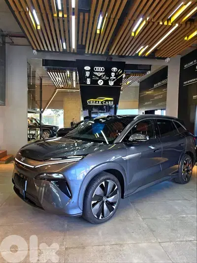 BYD Tang L 2025