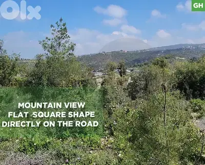 Directly on the road , Prime opportunity in Blat /بلاط REF#GH135373