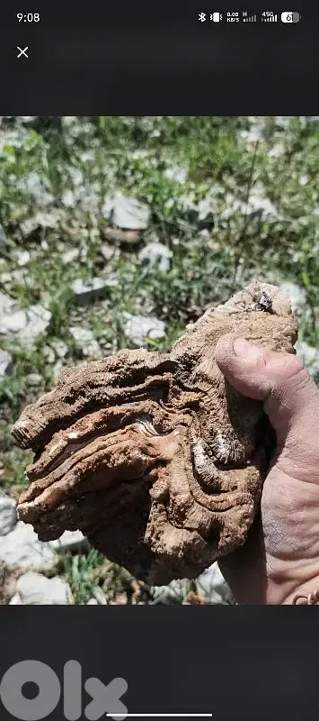 Layered Banded Calcite