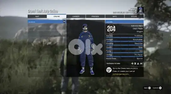 High-Level Gaming Profile