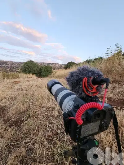 canon 7d mark 2 + lens 100-400mm