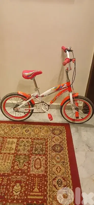 Bicycle Bike