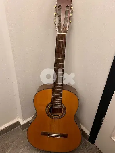 Guitar