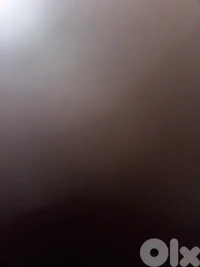 71339922