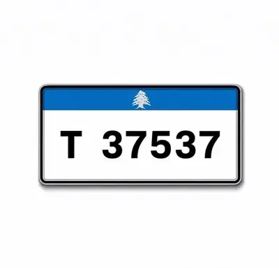 Car Plate Number