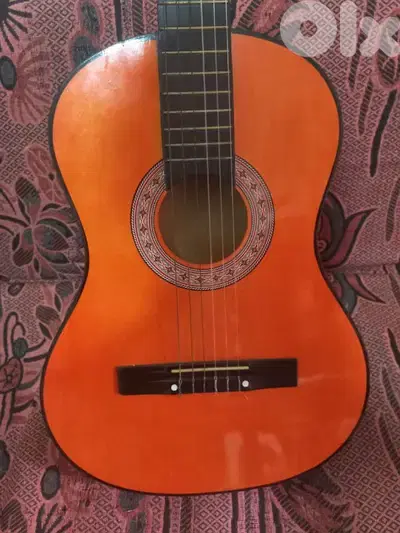 hoffman guitar