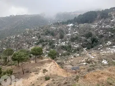 Land for Sale in Bcharre District أرض للبيع في عين مندر بشري