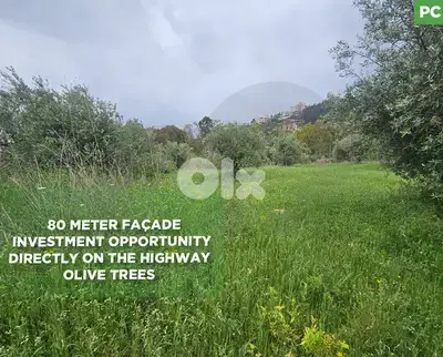 Directly on the Highway ,80 meter façade,Zgharta /زغرتا  REF#PC135599