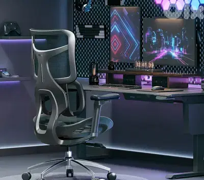 Sihoo Doro S100 Ergonomic Office Chair With Dual Dynamic Lumbar Suppor