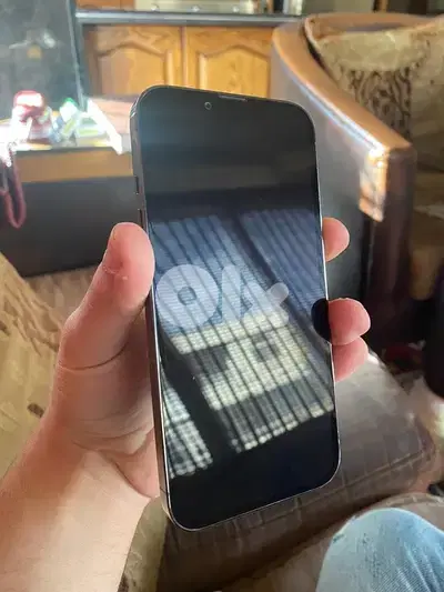 13 pro