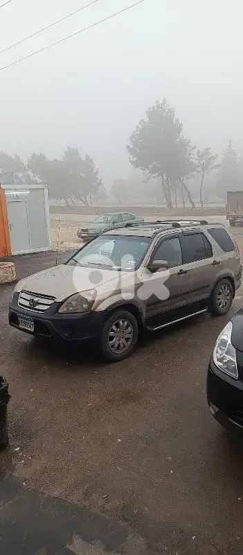 بيروت الملعب البلد
