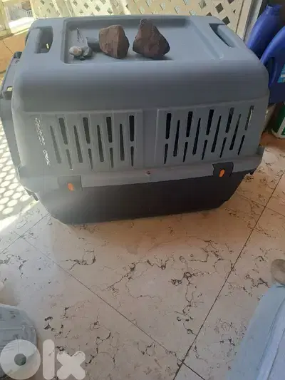 dog cage